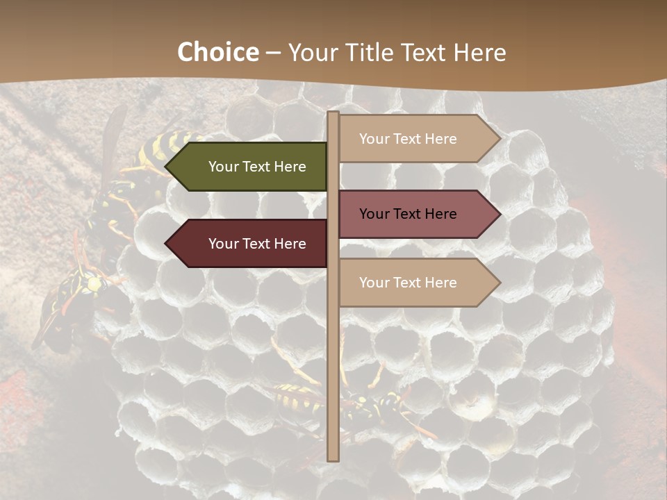 Hornet Nest PowerPoint Template
