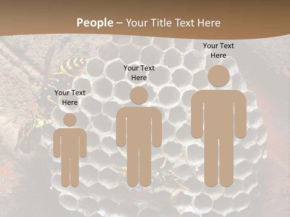 Hornet Nest PowerPoint Template