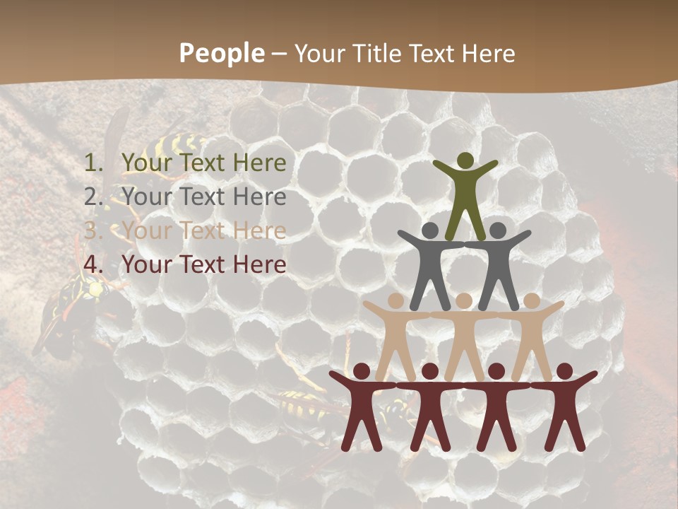 Hornet Nest PowerPoint Template