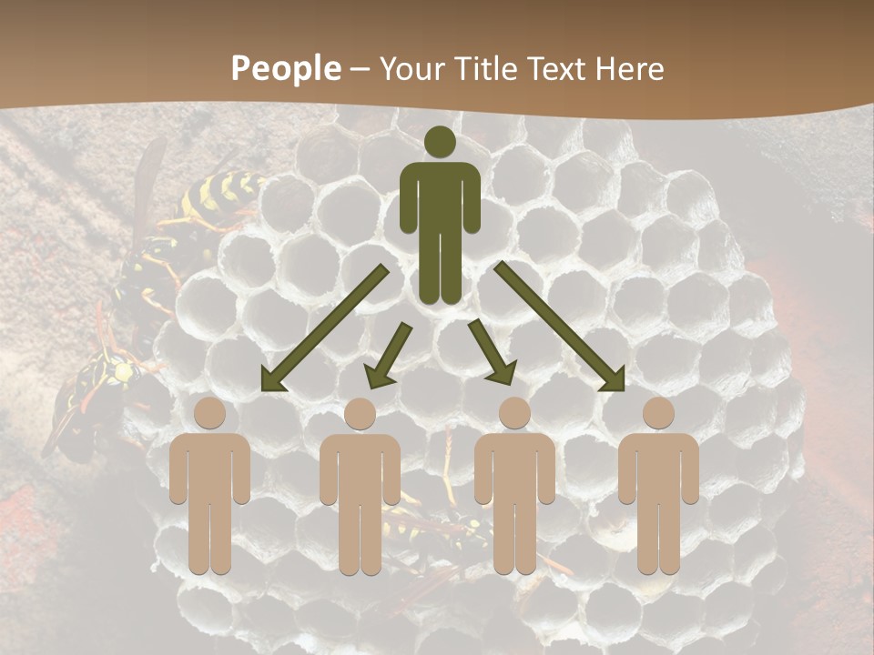 Hornet Nest PowerPoint Template