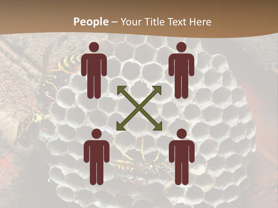 Hornet Nest PowerPoint Template
