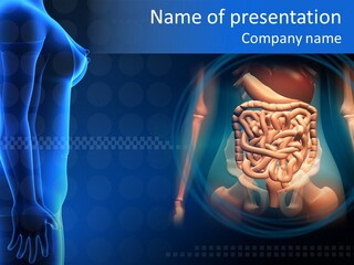 A Human Body With A Large Intestion In The Middle Of It PowerPoint Template