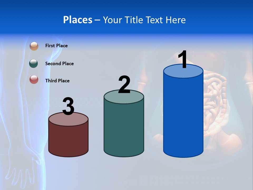 A Human Body With A Large Intestion In The Middle Of It PowerPoint Template