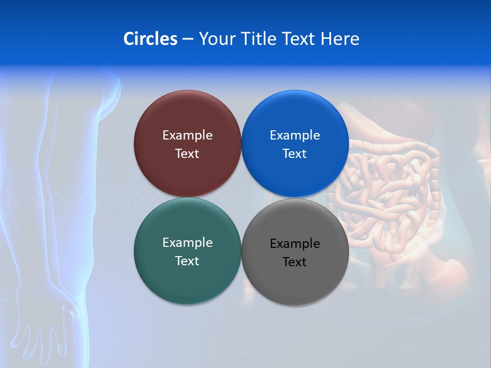 A Human Body With A Large Intestion In The Middle Of It PowerPoint Template