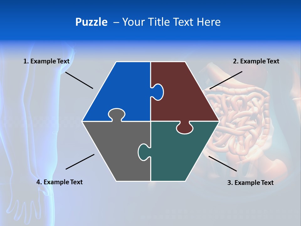 A Human Body With A Large Intestion In The Middle Of It PowerPoint Template