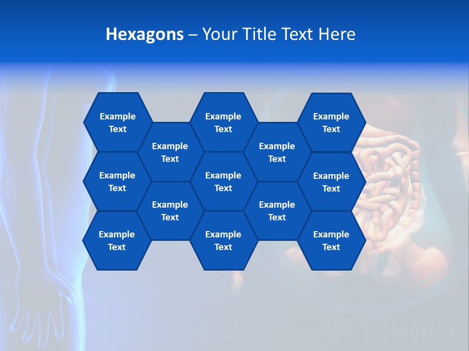 A Human Body With A Large Intestion In The Middle Of It PowerPoint Template