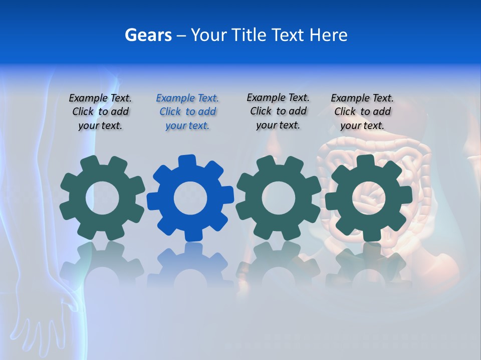 A Human Body With A Large Intestion In The Middle Of It PowerPoint Template