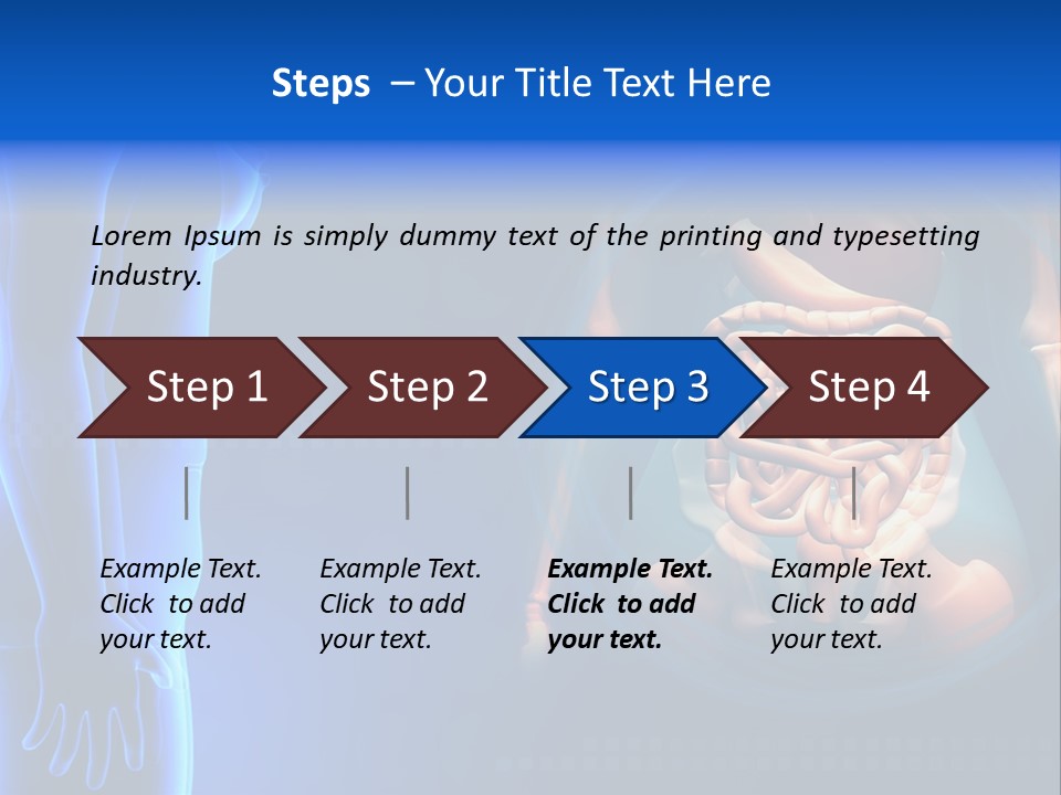 A Human Body With A Large Intestion In The Middle Of It PowerPoint Template