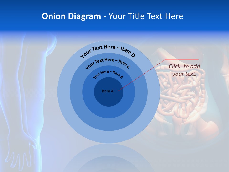 A Human Body With A Large Intestion In The Middle Of It PowerPoint Template