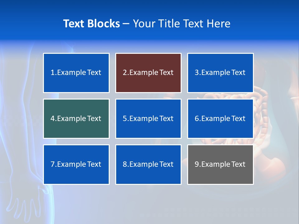 A Human Body With A Large Intestion In The Middle Of It PowerPoint Template