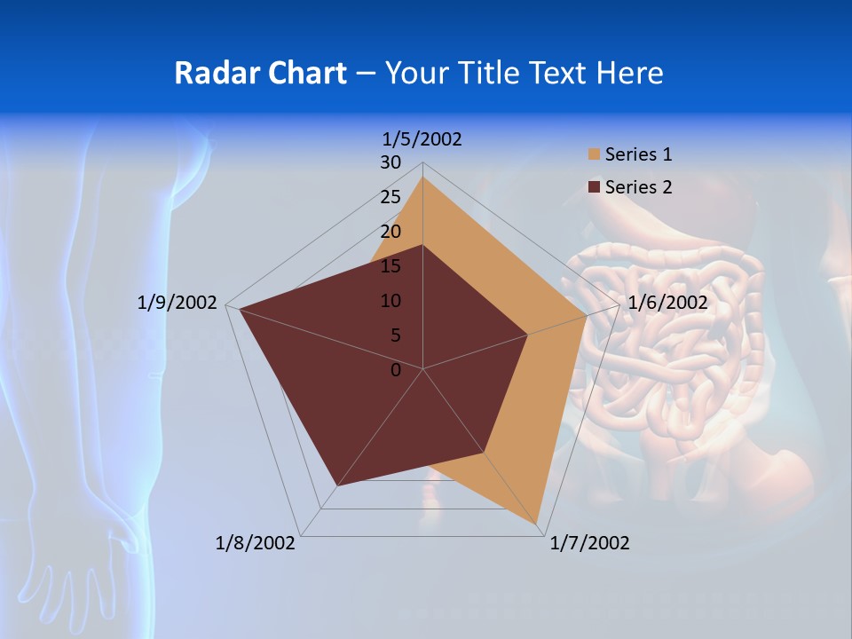 A Human Body With A Large Intestion In The Middle Of It PowerPoint Template