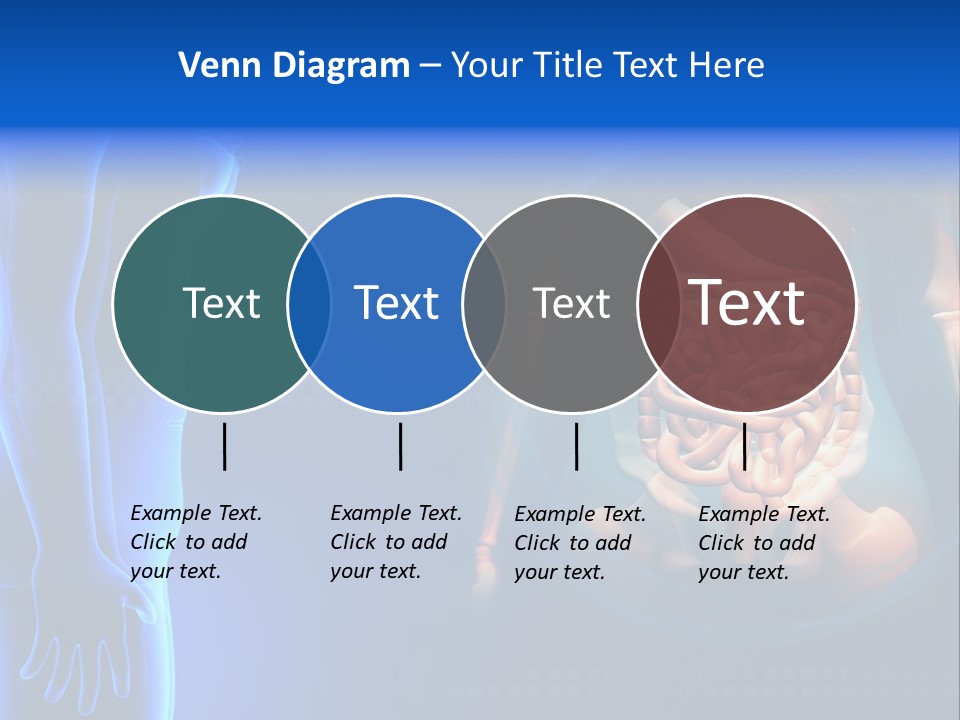 A Human Body With A Large Intestion In The Middle Of It PowerPoint Template