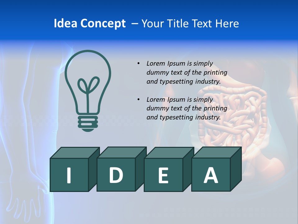 A Human Body With A Large Intestion In The Middle Of It PowerPoint Template