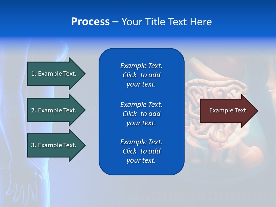 A Human Body With A Large Intestion In The Middle Of It PowerPoint Template