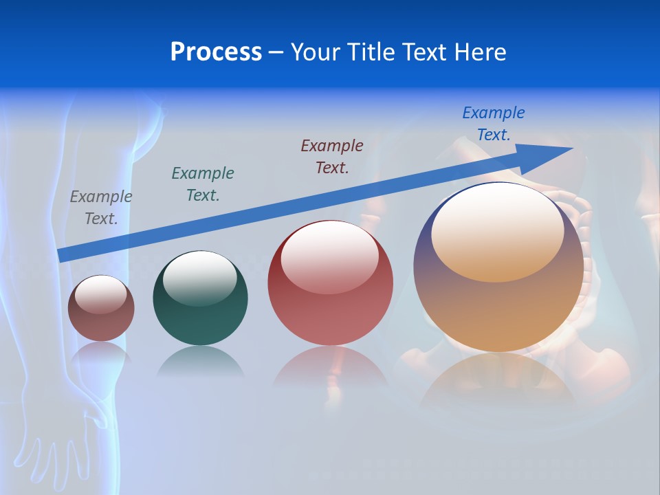 A Human Body With A Large Intestion In The Middle Of It PowerPoint Template