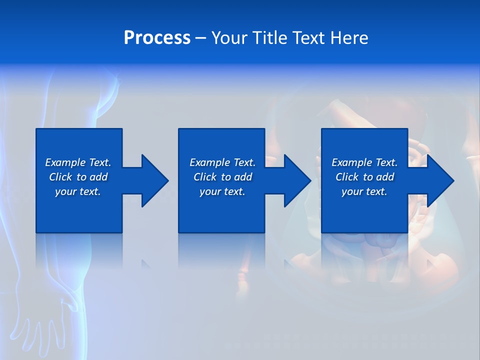 A Human Body With A Large Intestion In The Middle Of It PowerPoint Template