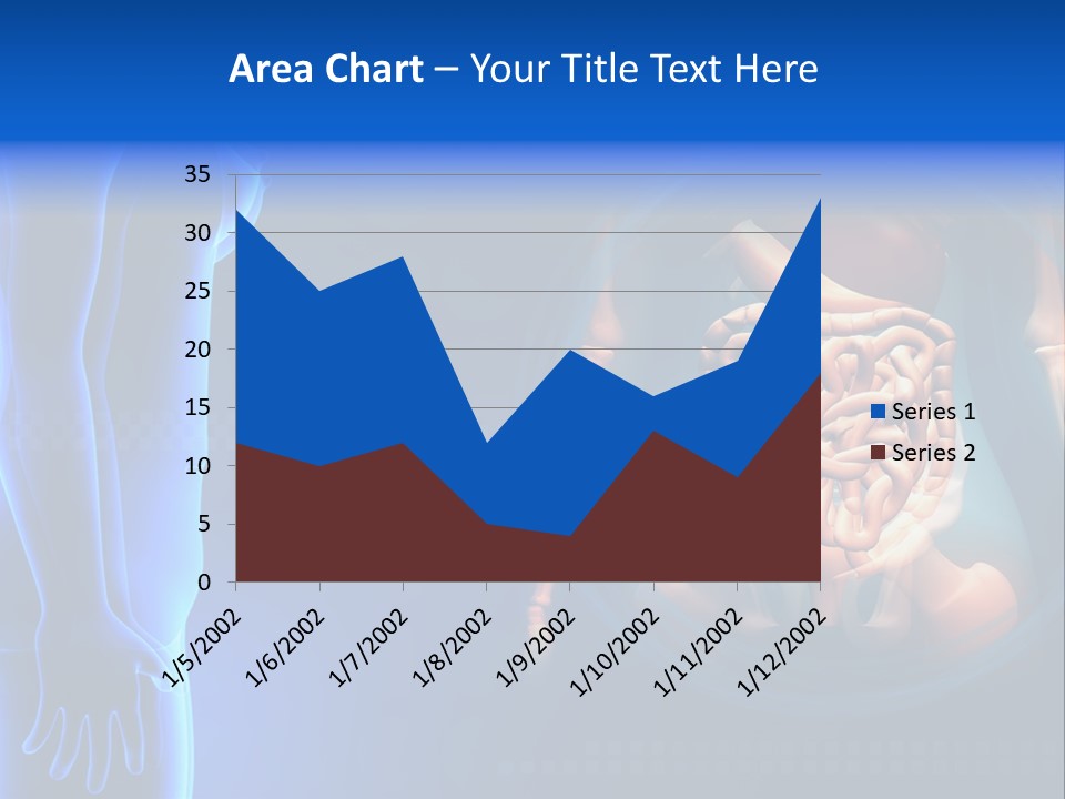A Human Body With A Large Intestion In The Middle Of It PowerPoint Template