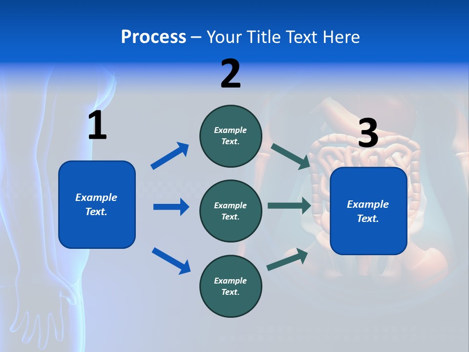 A Human Body With A Large Intestion In The Middle Of It PowerPoint Template