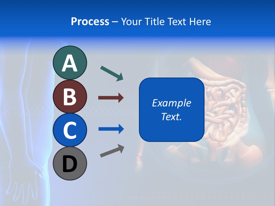 A Human Body With A Large Intestion In The Middle Of It PowerPoint Template