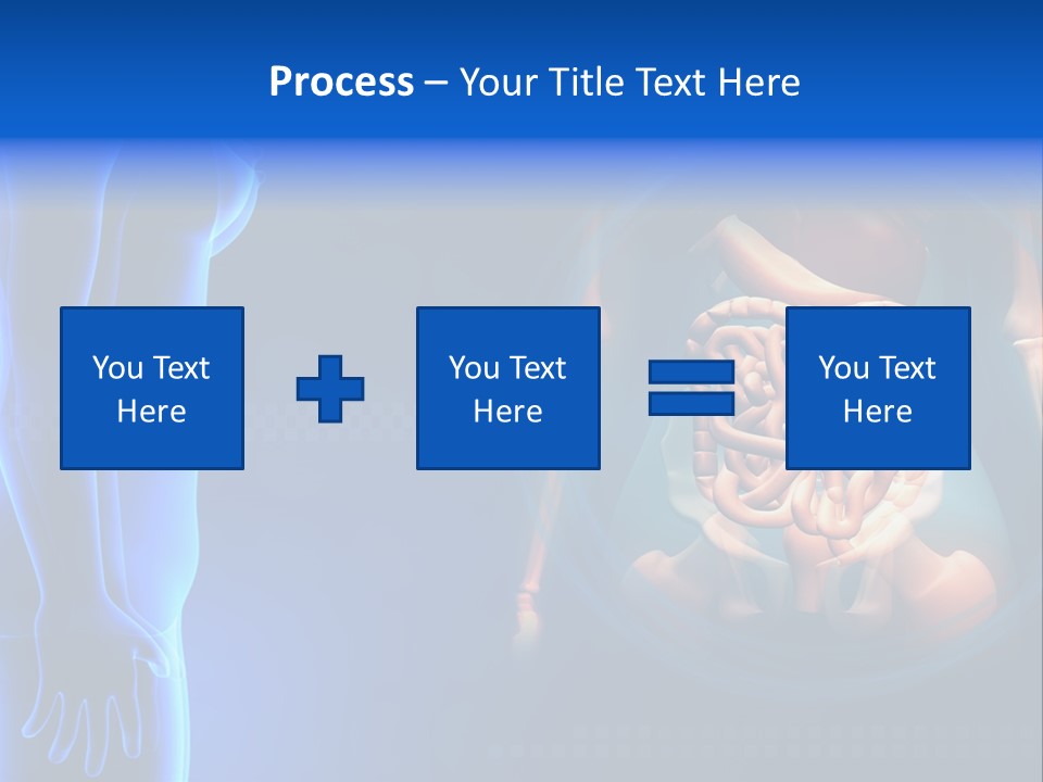 A Human Body With A Large Intestion In The Middle Of It PowerPoint Template