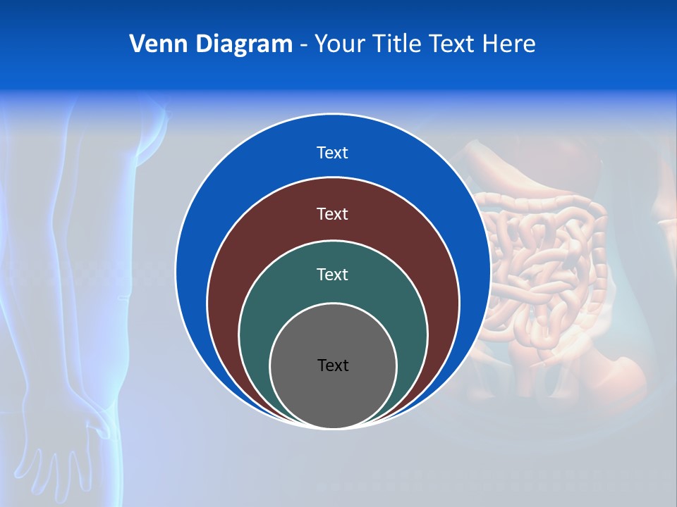 A Human Body With A Large Intestion In The Middle Of It PowerPoint Template