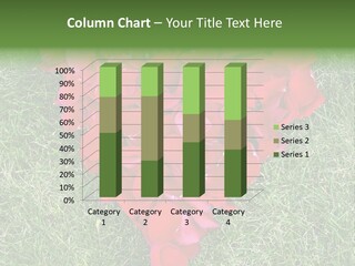 A Heart Fashioned From Rose Petals Arranged On The Grass PowerPoint Template