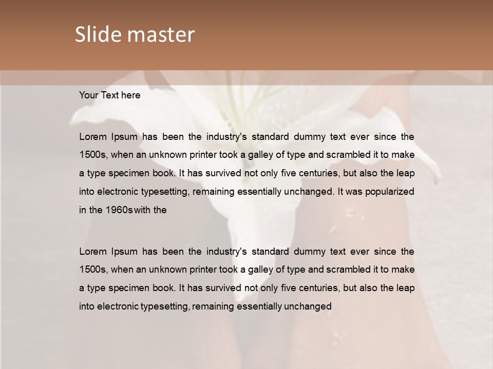 Wet Feet And Madonna Lily PowerPoint Template