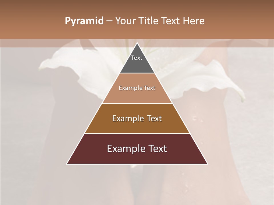 Wet Feet And Madonna Lily PowerPoint Template