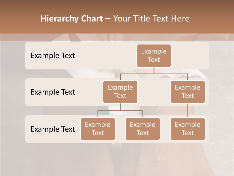 Wet Feet And Madonna Lily PowerPoint Template