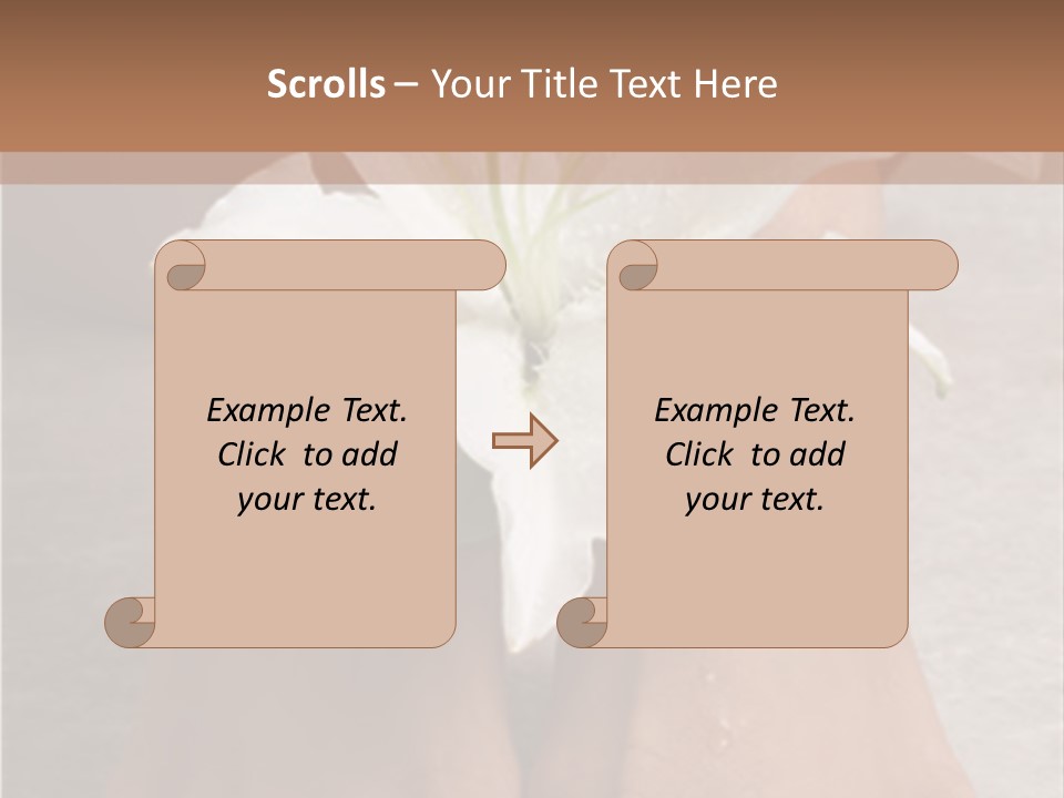 Wet Feet And Madonna Lily PowerPoint Template