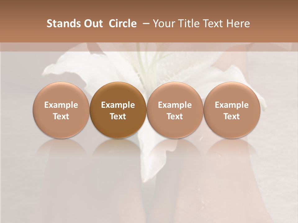 Wet Feet And Madonna Lily PowerPoint Template