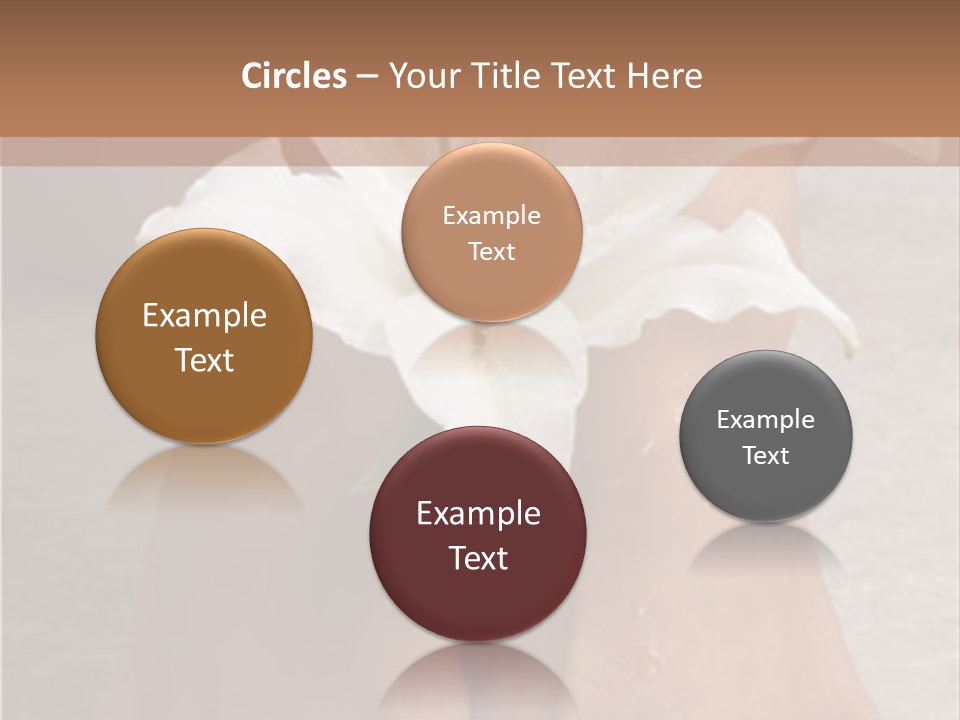 Wet Feet And Madonna Lily PowerPoint Template