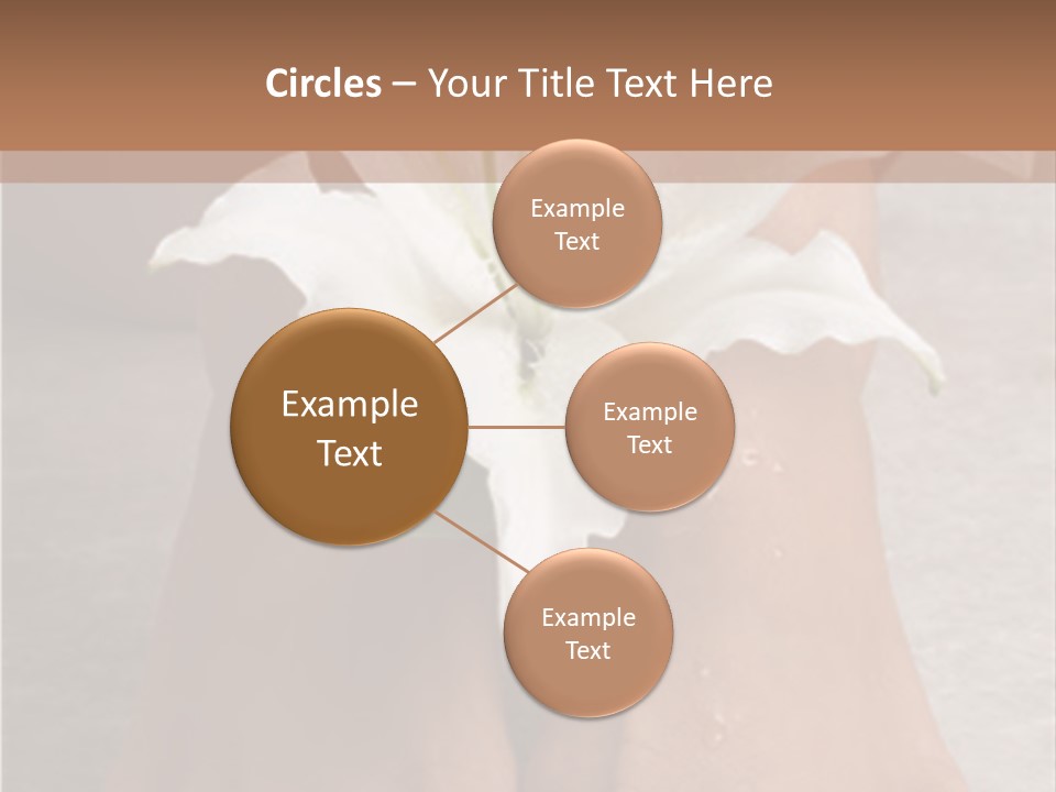 Wet Feet And Madonna Lily PowerPoint Template