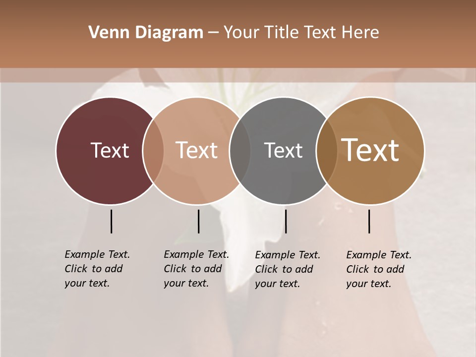 Wet Feet And Madonna Lily PowerPoint Template