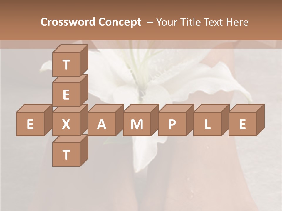 Wet Feet And Madonna Lily PowerPoint Template