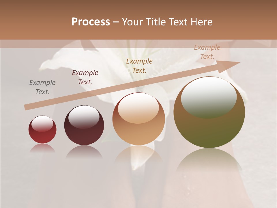 Wet Feet And Madonna Lily PowerPoint Template