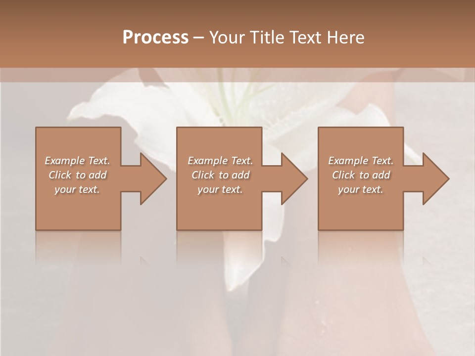 Wet Feet And Madonna Lily PowerPoint Template