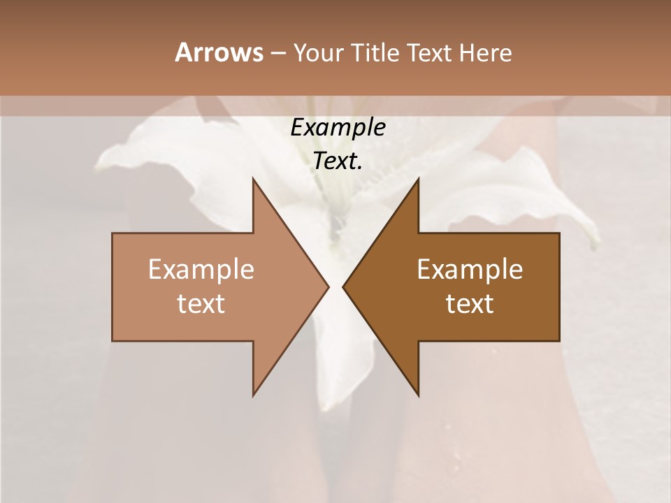 Wet Feet And Madonna Lily PowerPoint Template