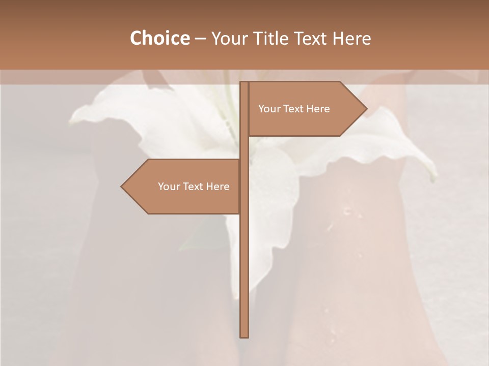 Wet Feet And Madonna Lily PowerPoint Template