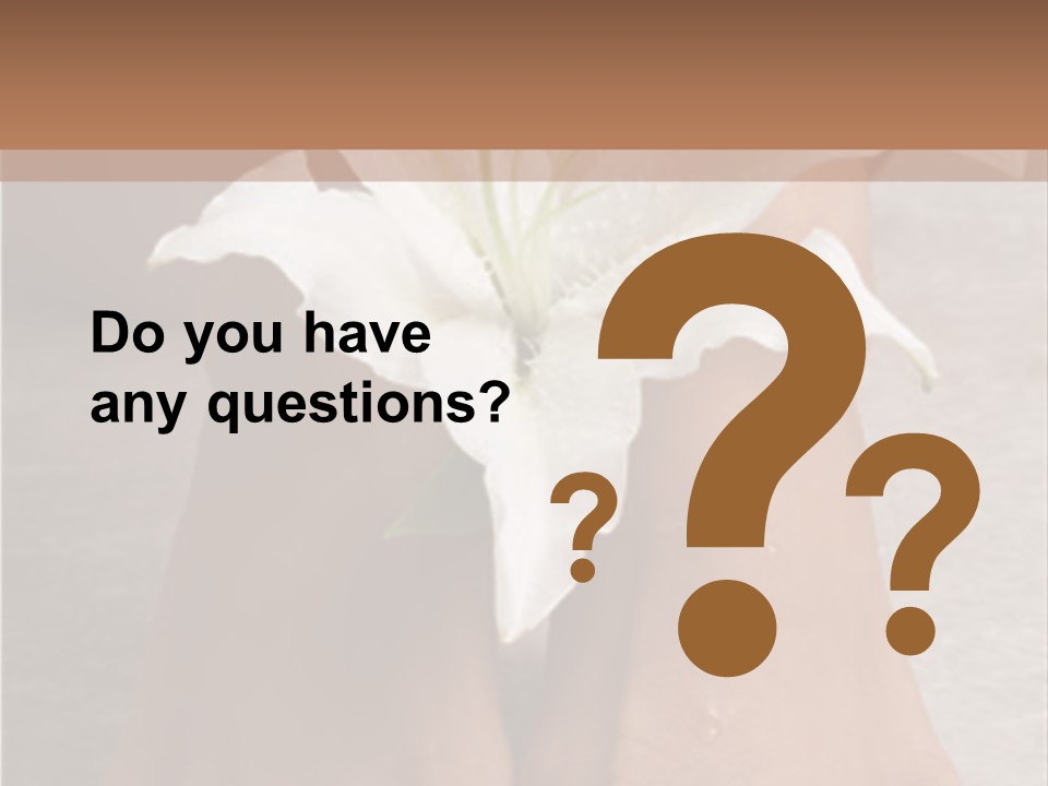 Wet Feet And Madonna Lily PowerPoint Template