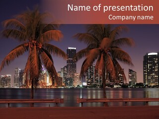 The Dynamic Miami Skyline At Night And A Couple Of Palm Trees. PowerPoint Template