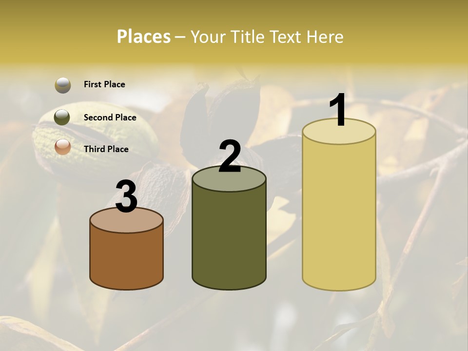 A Nut Tree With Nuts On It's Branches PowerPoint Template