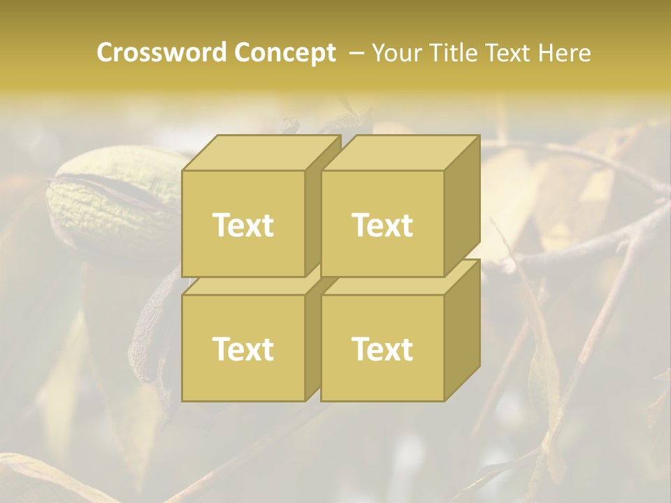 A Nut Tree With Nuts On It's Branches PowerPoint Template