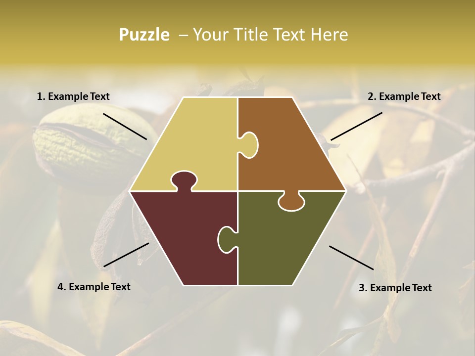 A Nut Tree With Nuts On It's Branches PowerPoint Template