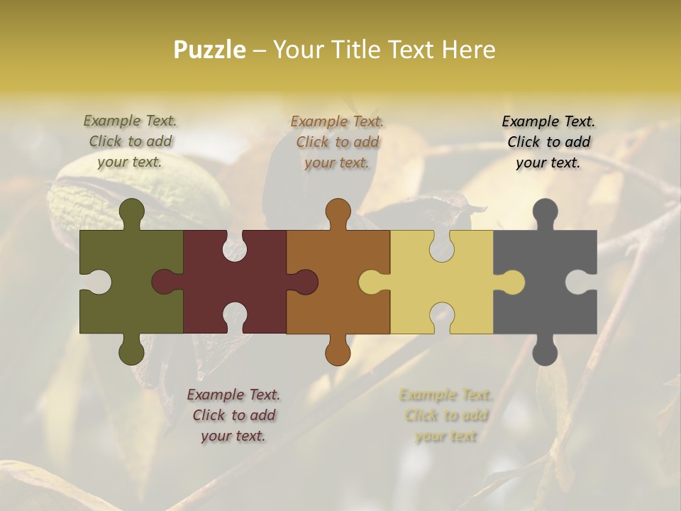 A Nut Tree With Nuts On It's Branches PowerPoint Template