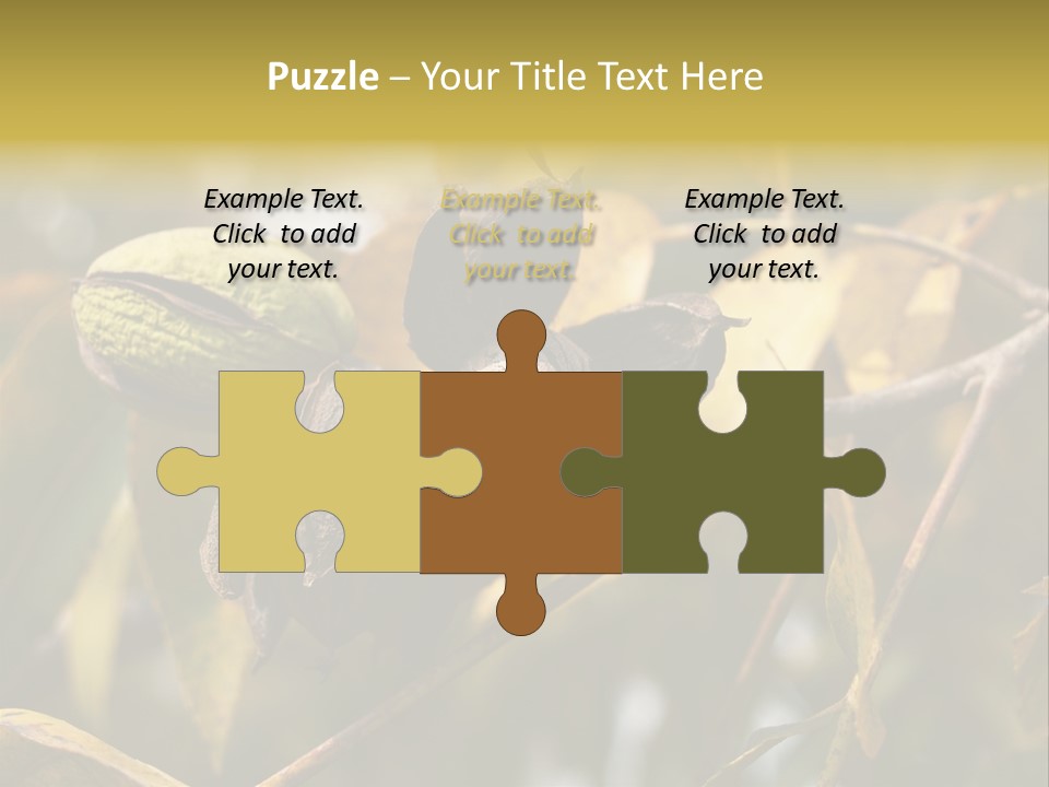 A Nut Tree With Nuts On It's Branches PowerPoint Template