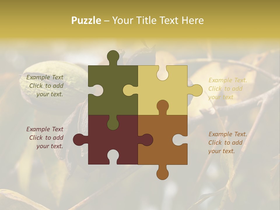 A Nut Tree With Nuts On It's Branches PowerPoint Template