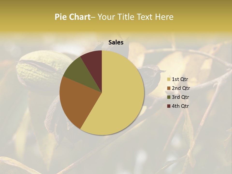 A Nut Tree With Nuts On It's Branches PowerPoint Template
