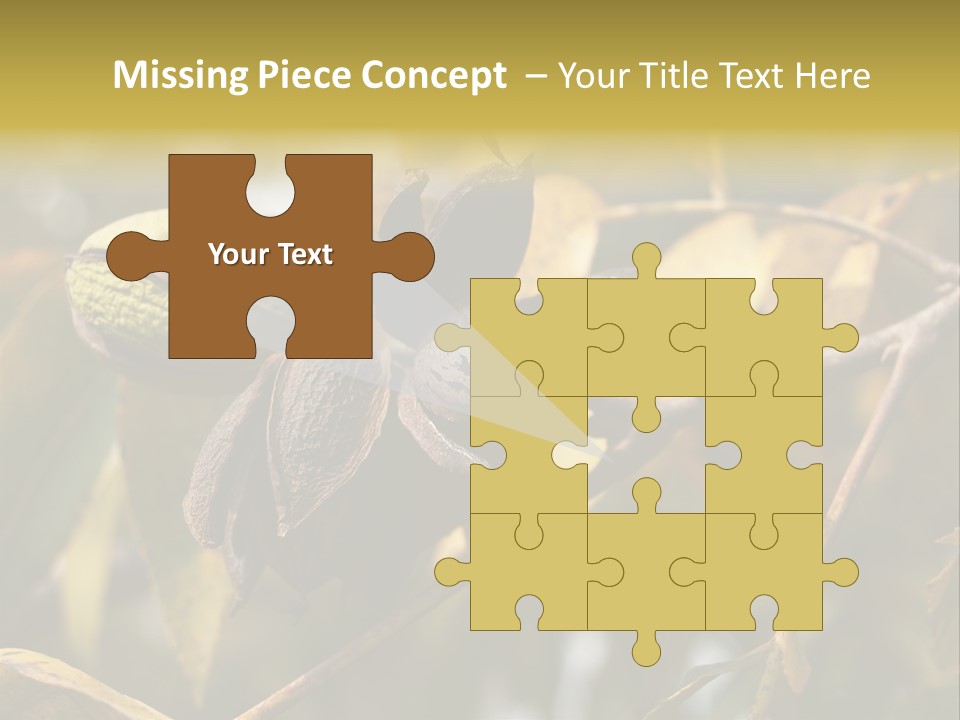 A Nut Tree With Nuts On It's Branches PowerPoint Template