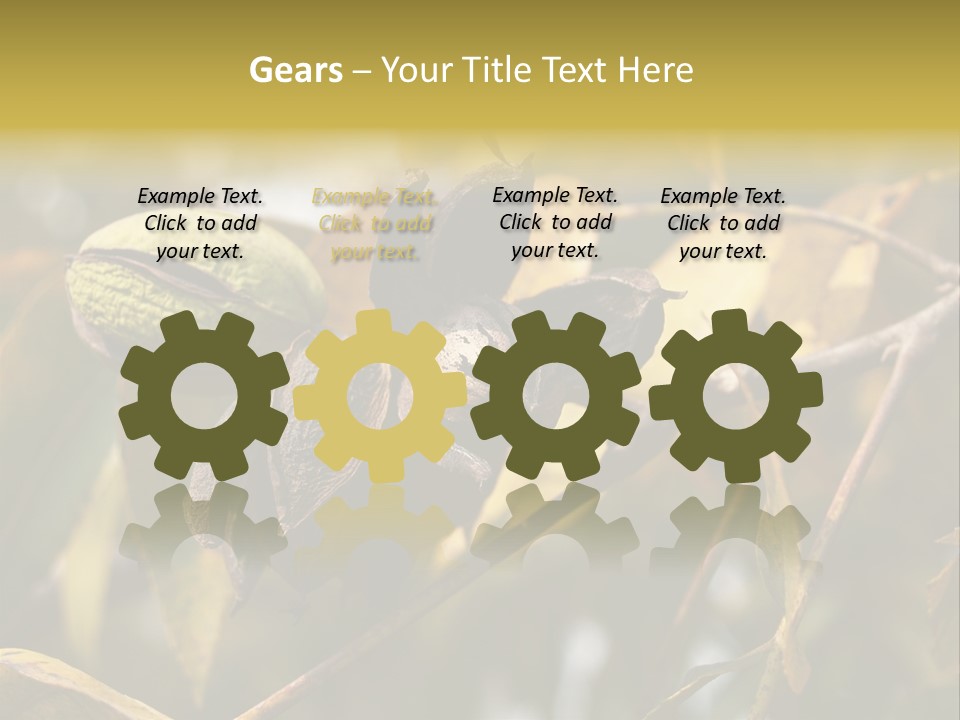 A Nut Tree With Nuts On It's Branches PowerPoint Template